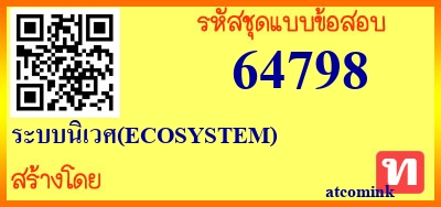 ระบบนิเวศ(ECOSYSTEM),ระบบนิเวศ(ECOSYSTEM),ระบบนิเวศ(ECOSYSTEM)